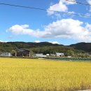 미원6리 이미지