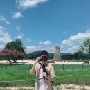 주식회사 봄코리아 이미지