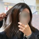 윈드헤어 | 강남역 미용실 헤어샵 희올헤어 윈드컷 톤다운 임산부염색 후기