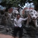 오백년이야기 이미지