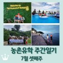 장흥비뇨기과의원 | 보성 농촌유학 주간일기 7월 셋째주 / 미국에서 놀러온 친구 / 농촌유학가정 캠핑 / 마무리는 응급실ㅠㅠ