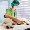 베이지동물병원 이미지