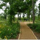 순천만힐링 이미지