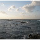 꼬맹이김밥 이미지