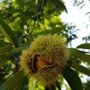 꼬꼬체험장 이미지