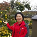 간산고택 이미지