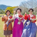 신앙촌상회 이미지