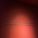 게스트하우스 (feat.내가조선의국밥이다 본점,여수 바 유사길 위스키 싱글몰트) 100kg가 인정한 국밥집