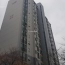 풍동 애니골 입구 정류장 이미지