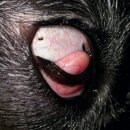 다산아이동물병원 이미지