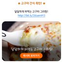 신선함이 살아있는 건강한 아침메뉴! 오이 샌드위치 이미지