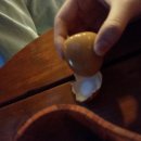 수리산랜드 이미지