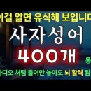사자성어 모음 400개 통합 /그냥 틀어 놓으세요 // 더늦기전에 인생을 즐겨라 이미지