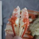 울진후포수산업협동조합 네이버블로그