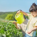 관음포연꽃마을협동조합 이미지