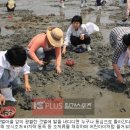 하전 이미지