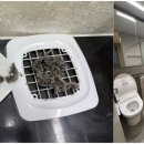 뽀드득청소 이미지
