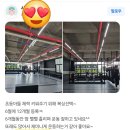 팀 몬스터 복싱 스타필드점 이미지