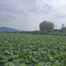 고령주유소 이미지