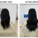 롱디붙임머리