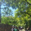 용마 농장 이미지