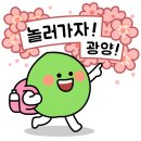 금호동 목련연립주택 | 금호건강생활지원센터, 주민걷기 행사 성황리에 마치다