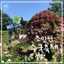 신창중학교 | [서울/노원] 서울 6월 방문하면 좋을 곳 "초안산수국동산" 25년 방문 후기