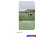 캥거루짐 페스티벌 후기(개포동 축구 축제⭐)