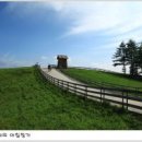목장길따라 Daum카페