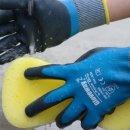 에스비 아쿠아 이미지