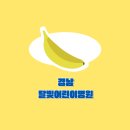 미르아이병원 | 경남 거제·통영·김해·창원·밀양·사천·거창 달빛어린이병원 목록 및 위치, 진료 시간 정리