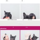 스테이 뭉구 이미지