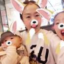 릴리펏롯데백화점부산본점 이미지