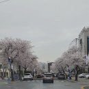 부곡온천중앙로 이미지