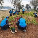 노안면행정복지센터 이미지