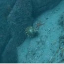 돌뿐이공원 이미지