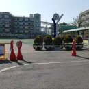 서곶초등학교 이미지