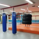 정함체육관 이미지