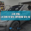 에이스버핑 | 테슬라 모델Y 구로 썬팅, 내 차에 꼭 맞는 쾌적함을 찾는 법
