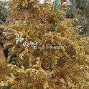 화백농장 이미지