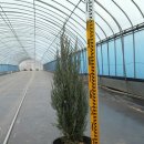 문겸농장 이미지