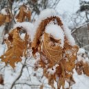 북한산 칼바위능선- 진달래능선 산행기 이미지