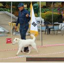 화수초등학교 이미지