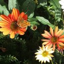 둔배미공원 이미지