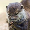 금해한의원 이미지