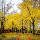 정촌유기농원 이미지