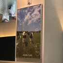 천지농장 | 해운대 스미스씨네농장 맛집 추천｜해운대 양식 데이트 코스, 돌문어 스테이크 포함 메뉴 추천