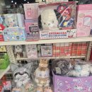 더쿠샵 | 전주 굿즈샵 쿠지더쿠 객사 애니 굿즈 소품샵 추천