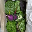 동네농장 이미지