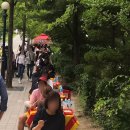 다향체육관 화장실 | [JTN 콘서트]고려대 화정체육관/가는법/입장방법/고른햇살/맛집